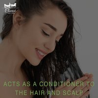 Aloe Vera Gel For Hair & Skin 120 ML