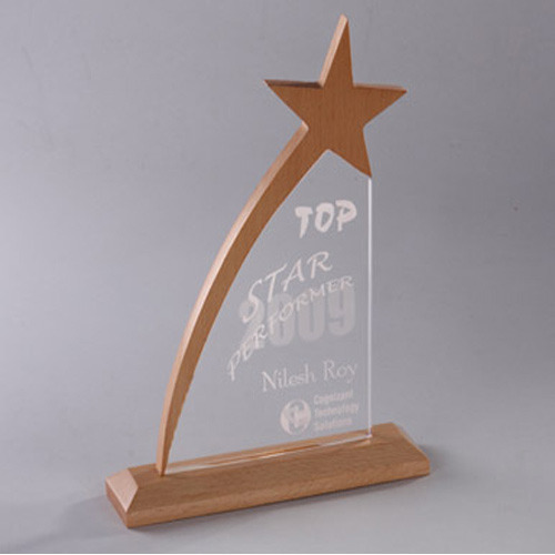 Polished Attractive Look Wood Awards