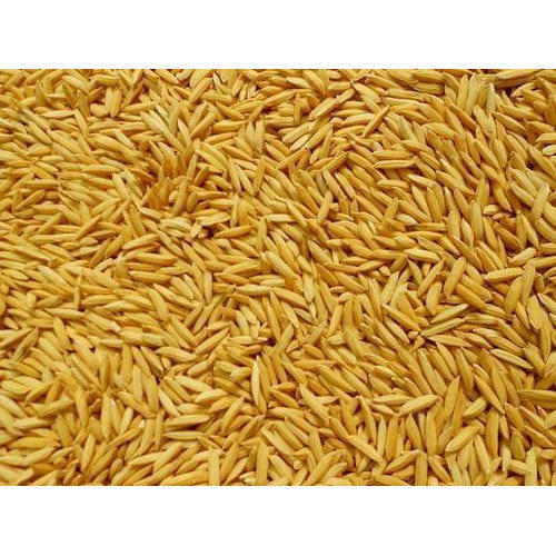 Rice Paddy Purity: 99%