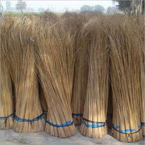 52 Inch Coconut Stick Broom