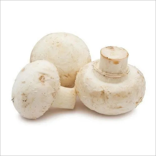 White Fresh Button Mushroom
