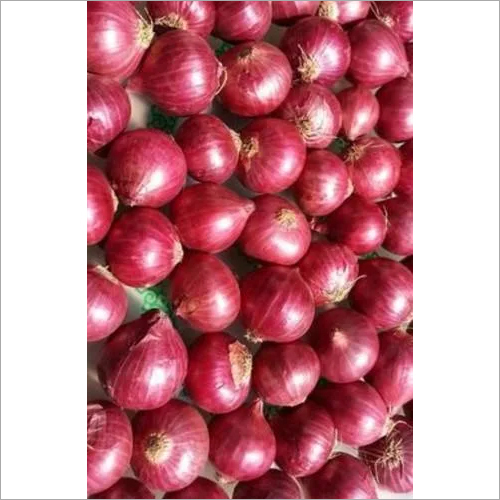 Fresh Red Onion