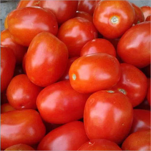 Fresh Tomato