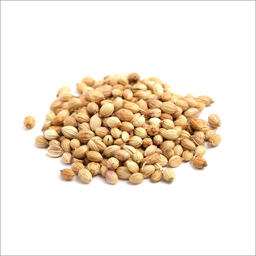 Natural Coriander Seeds Grade: A