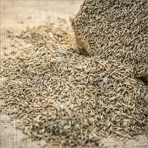 Organic Cumin Seeds Grade: A