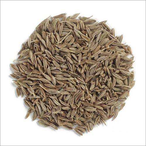 Singapore Quality 970 Cumin Seeds