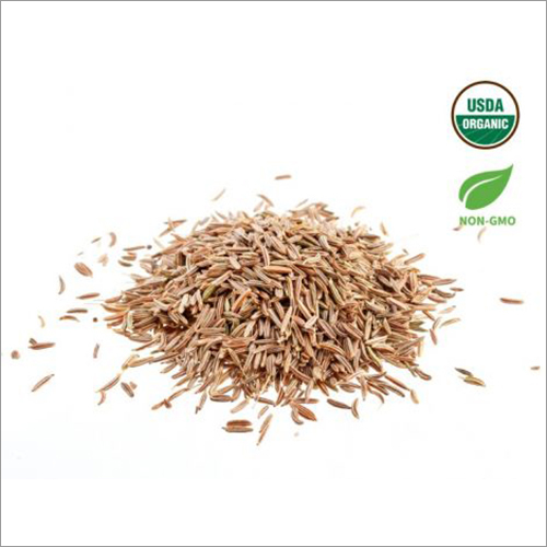 USDA Certified Organic Cumin Seeds