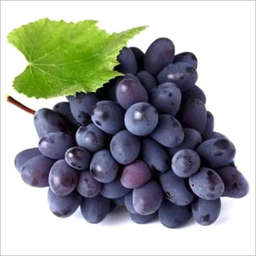 Black Grapes By SAMSE S GROUP