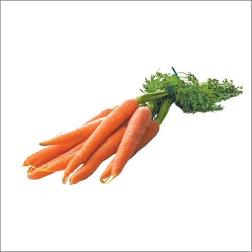 Fresh Carrots