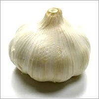 Whole Garlic