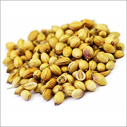 Coriander Seeds