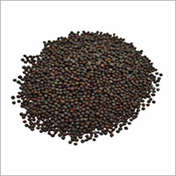 Black Mustard Seeds