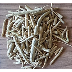 Ashwagandha (Withania Somnifera) Roots