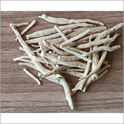 Ashwagandha (Withania Somnifera) Roots