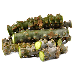 Giloy Amrita Or Guduch (Tinospora Cordifolia)