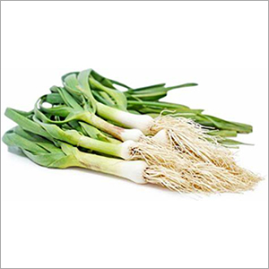 Green Garlic