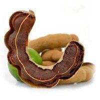 High Quality Tamarind With Seed