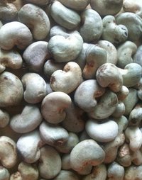 Raw Cashew Nuts