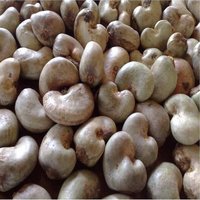 Raw Cashew Nuts Exporter