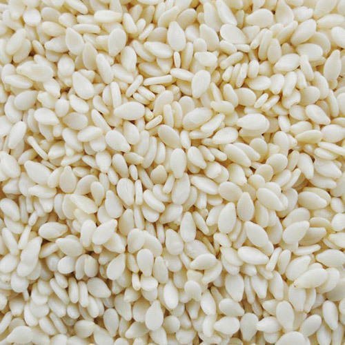 Bulk Fresh Quality Raw Cashew Nut Import Buyers