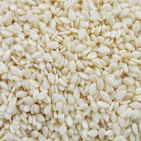 Bulk Fresh Quality Raw Cashew Nut Import Buyers