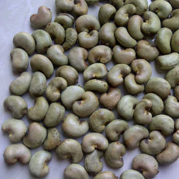 Raw Cashew Nuts In Shell By SAANRAY EXPORT NETWORKS LIMITED