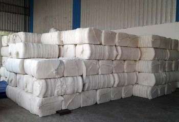 Natural Raw Cotton