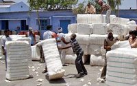 Natural Raw Cotton