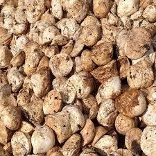 Cup Lump with Drc of 72%