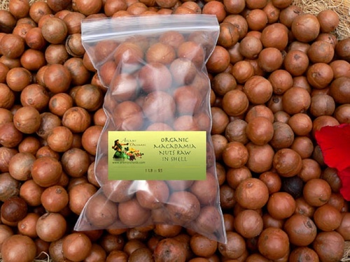 Macadamia Nuts, Roasted Macadamia, Organic Macadamia Nuts