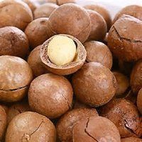 High Quality Macadamia Nuts