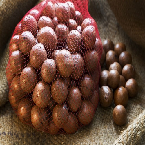 Macadamia Nuts In Shell