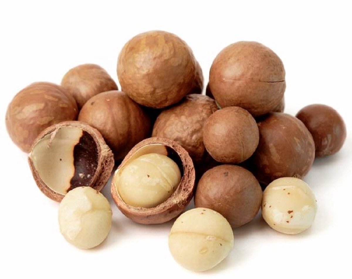 Macadamia Nuts In Shell