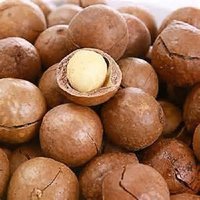 Best High Quality Macadamia