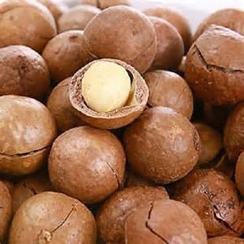 Raw Organic Macadamia Nuts - Premium Quality, Non-GMO, Naturally Nutritious and Delicious Snack