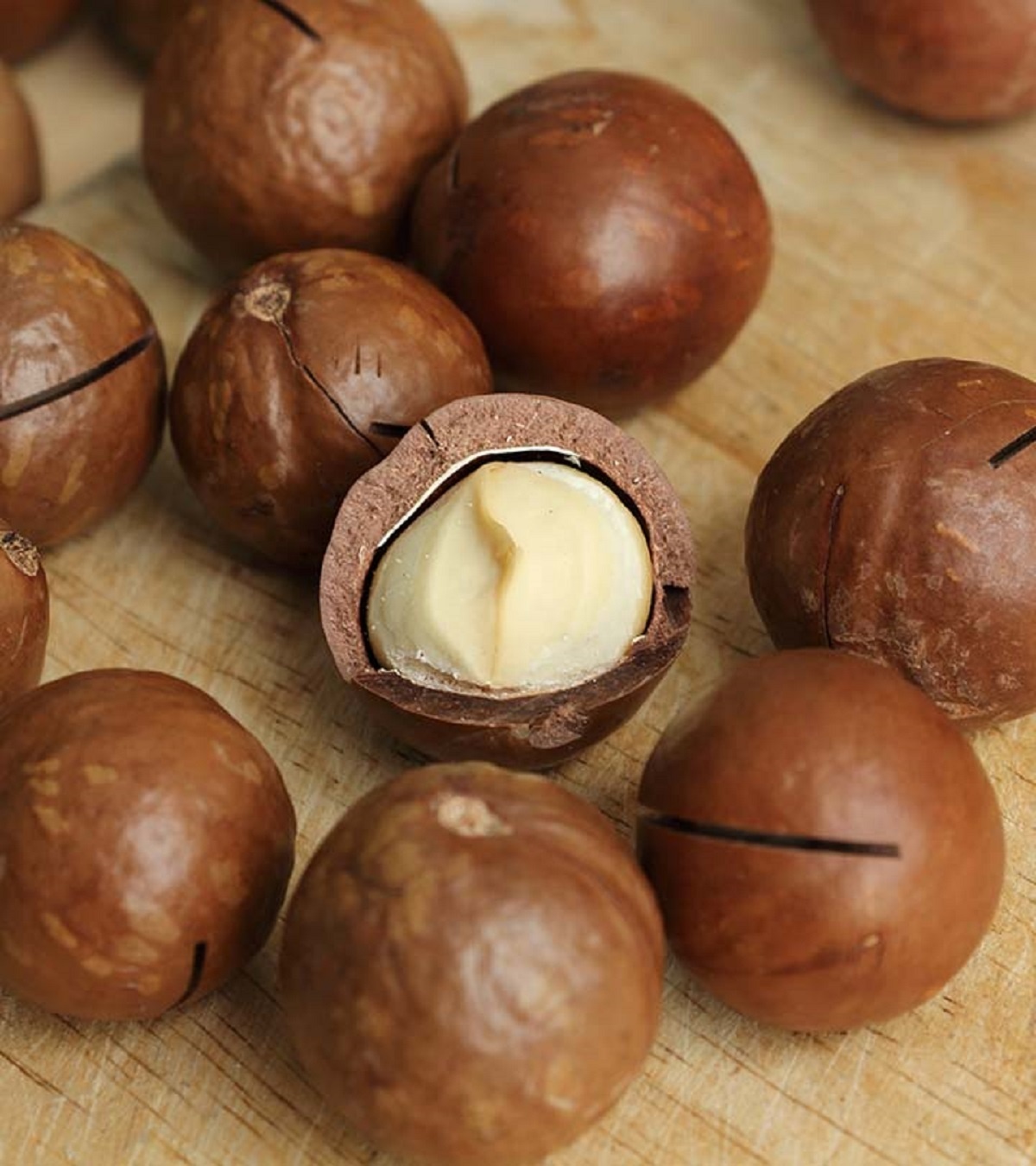 Raw Organic Macadamia Nuts