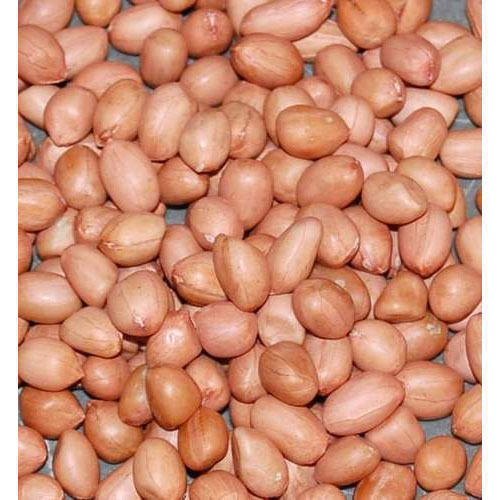 Peanut ,dried Kernel Peanuts Groundnut For Sale By SAANRAY EXPORT NETWORKS LIMITED