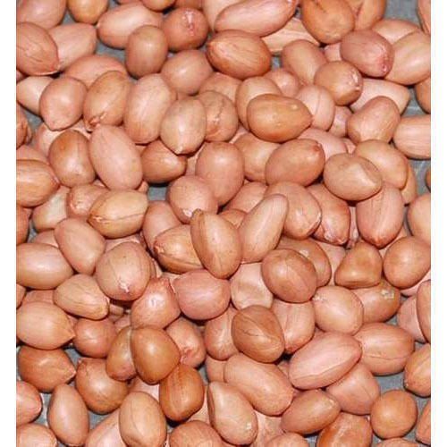 Peanut ,dried Kernel Peanuts Groundnut For Sale
