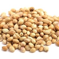 Best Quality of Coriander Seeds