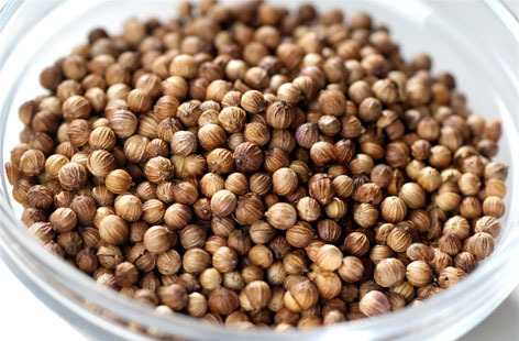 Best Quality of Coriander Seeds