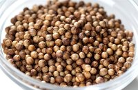 Best Quality of Coriander Seeds