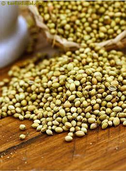 Coriander Seeds Available For Sale