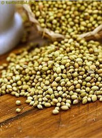 Coriander Seeds Available For Sale