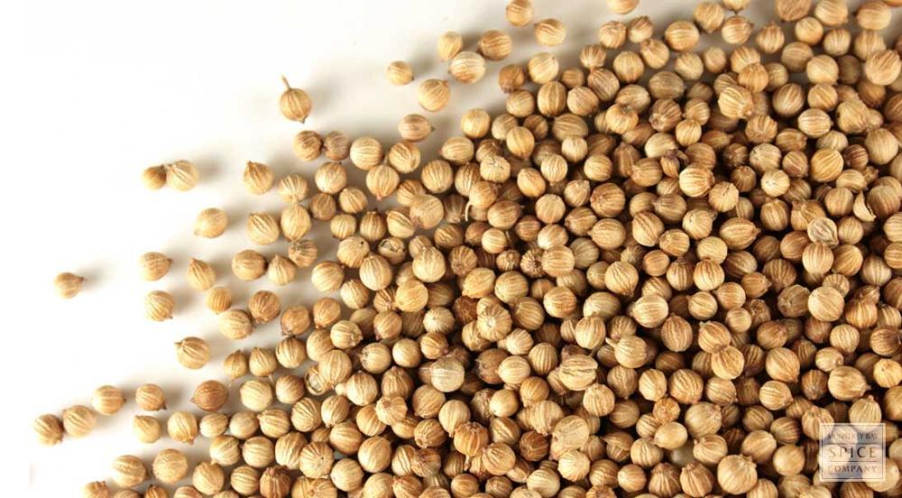 High Quality Coriander Seeds