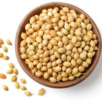 High Quality Coriander Seeds