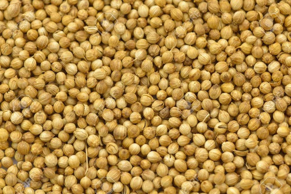 High Quality Pure Coriander Seeds Split Coriander Seed