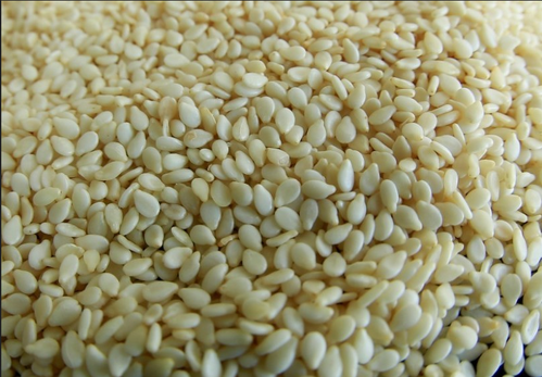 White Sesame Seeds By SAANRAY EXPORT NETWORKS LIMITED