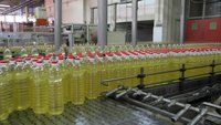 Bulk 100% Organic Sunflower Cooking Oil