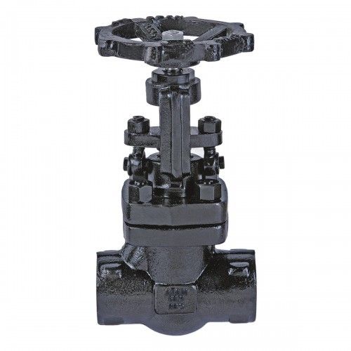 F.c.s. (A105) Globe Valve, Class-800