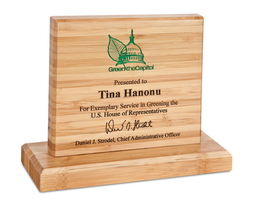 Corporate Brown Modern Glossy Wooden Awards
